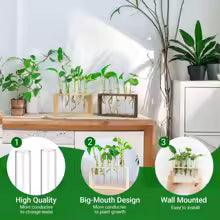 3/5 Tubes Wall Hanging Hydroponic Plant Propagation Glass Vase with Wooden Stand Desktop for Home Office Planter Garde Decor