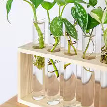 3/5 Tubes Wall Hanging Hydroponic Plant Propagation Glass Vase with Wooden Stand Desktop for Home Office Planter Garde Decor
