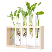 3/5 Tubes Wall Hanging Hydroponic Plant Propagation Glass Vase with Wooden Stand Desktop for Home Office Planter Garde Decor